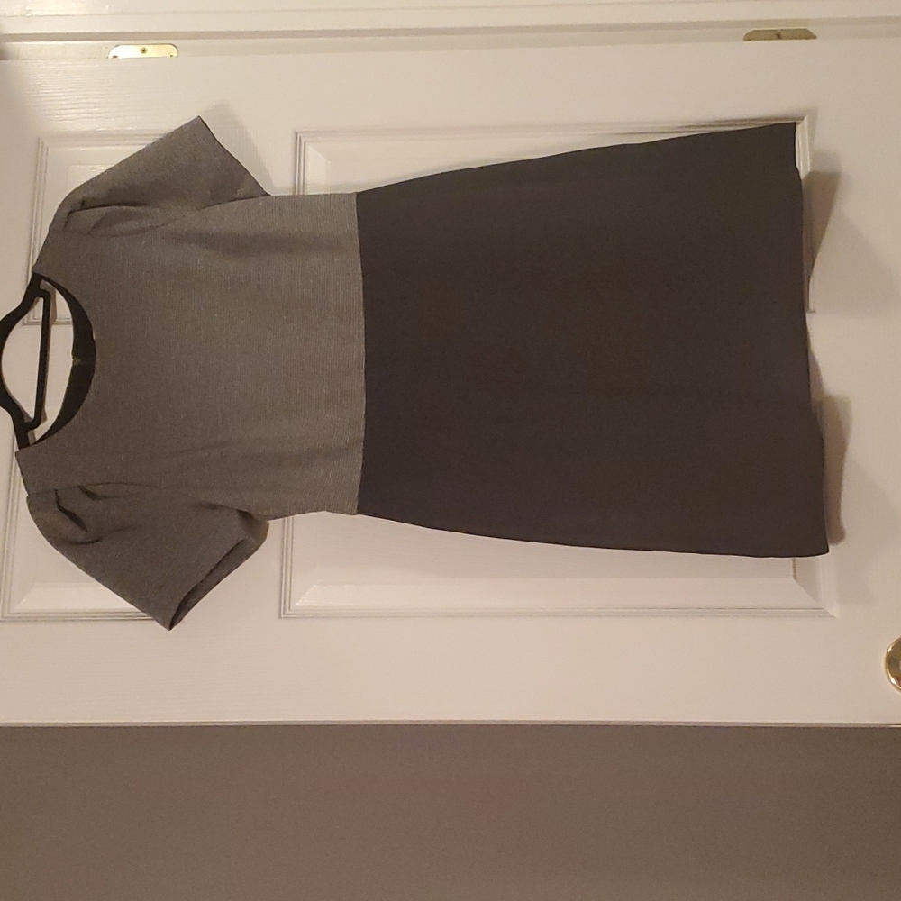 NWOT Loft Dress